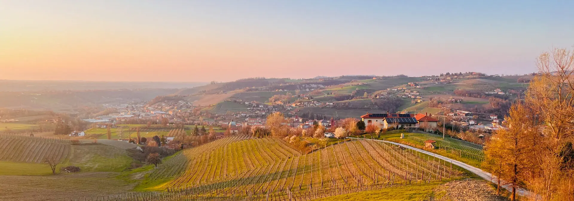 Vigne e colline presso CasaMatilda a Dogliani